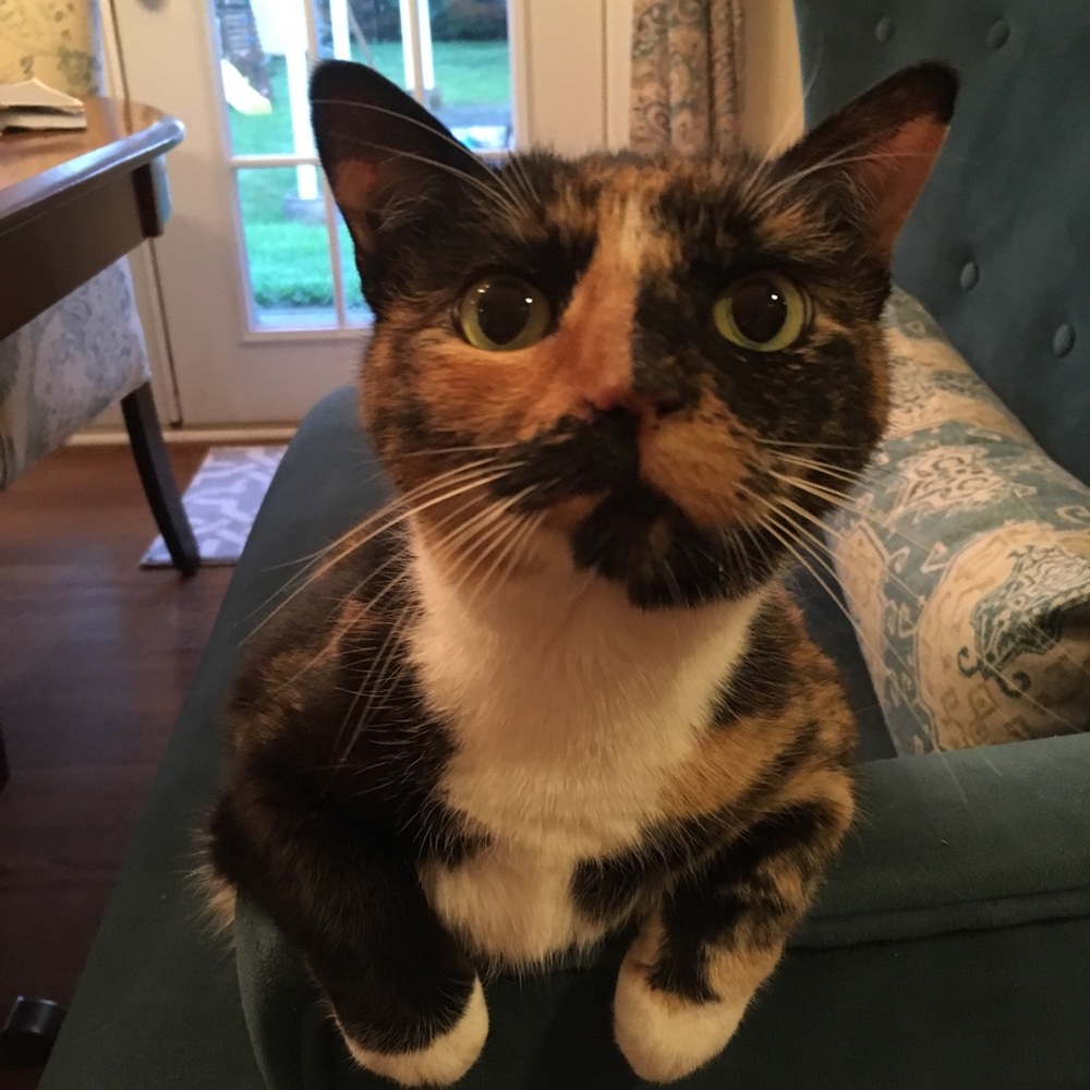 Donation time is coming up!